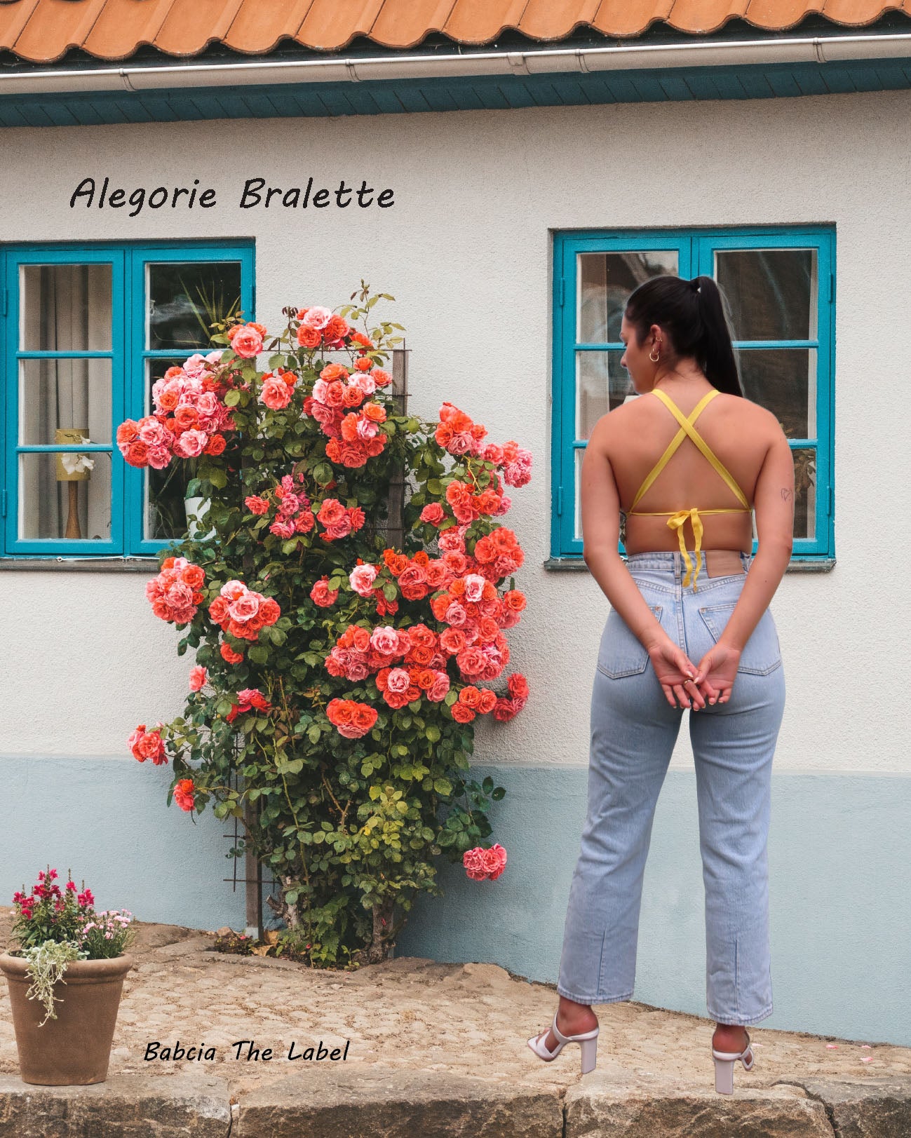 Alegorie